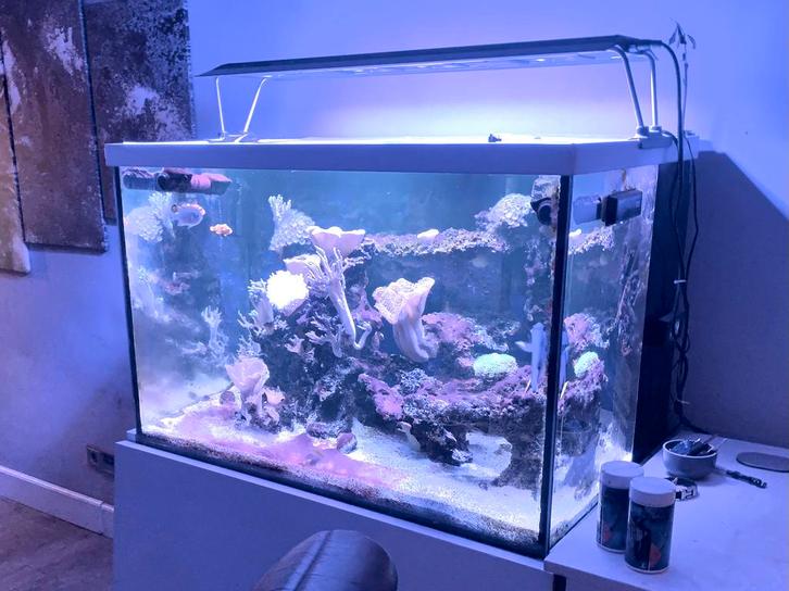 Maxspect RSX 200 Zeeaquarium verlichting, Dieren en Toebehoren, Vissen | Aquaria en Toebehoren, Gebruikt, Verlichting of Verwarming