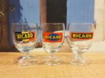 Ricard, Verzamelen, Glas en Borrelglaasjes, Ophalen of Verzenden, Zo goed als nieuw, Bierglas