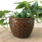 Riverdale Bruine Bloempot met Geometrisch Patroon, Gebruikt, Rond, Binnen, Ophalen of Verzenden