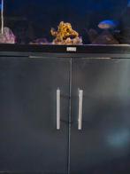 leuke complete aquarium te koop, Ophalen, Zo goed als nieuw