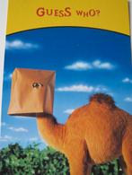 College card van Camel - guess who? nieuwe kaart, Verzenden, 1980 tot heden, Ongelopen, Overige thema's