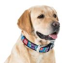 WAUDOG Flower Lederen Halsband Zwart Nek 38-49 cm KOOPJE!!!, Ophalen of Verzenden, Handgemaakt, Nieuw
