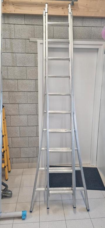 Maxall- Reformladder 2-delig met uitgebogen bomen MR2x10  beschikbaar voor biedingen