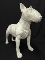 Bull Terriër hond wit gekleurd. +/- 68 cm hoog., Ophalen of Verzenden, Nieuw, Dier