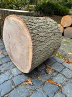 Boomstam Hakblok 50cm hoog diameter 60cm eiken, Minder dan 3 m³, Ophalen, Eikenhout, Stammen