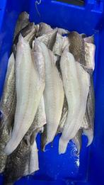 Heerlijke verse kabeljauw filet, Ophalen of Verzenden