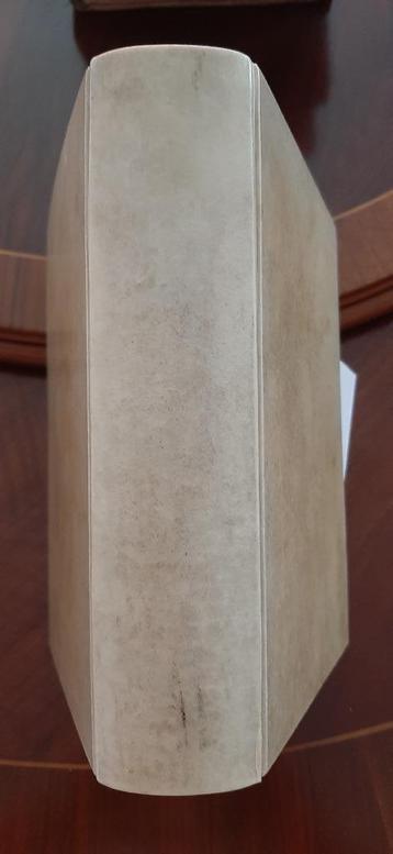 Zephanja, Elandus van Staveren beschikbaar voor biedingen