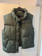 Bodywarmer dames, Nieuw, Ophalen of Verzenden, Maat 34 (XS) of kleiner, C&A