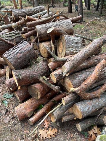 Haardhout Stookhout kachelhout beschikbaar voor biedingen