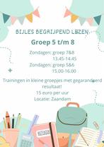 Begrijpend lezen bijles/training!, Diensten en Vakmensen, Bijles, Privé-les en Taalles, Bijles