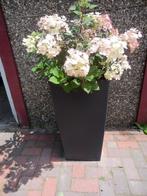 Diverse plantenbakken in prijs verlaagd, Ophalen, Kunststof, Minder dan 60 cm, Vierkant
