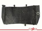RADIATEUR CBR 929 RR Fireblade 2000-2001 (CBR900RR SC44), Motoren, Onderdelen | Honda, Gebruikt