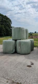Voordroog/kuil balen 2de snee 2024. Geschikt voor paarden, Dieren en Toebehoren, Dierenvoeding, Ophalen, Vee