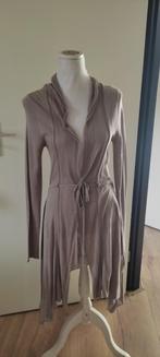 Alysi lang vest, Bruin, Verzenden, Maat 36 (S), Alysi