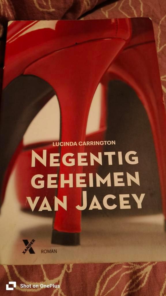 Negentig geheimen van Jacey - Lucinda Carrington, Boeken, Romans, Gelezen, Nederland, Ophalen of Verzenden