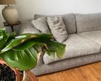 Duurzame Linteloo bank inclusief zeer ruime fauteuil, Huis en Inrichting, Banken | Bankstellen, Ophalen, Stof, 75 tot 100 cm, Zo goed als nieuw