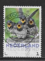 persoonlijke, Vogels, Boerenzwaluw (K2219), Ophalen of Verzenden