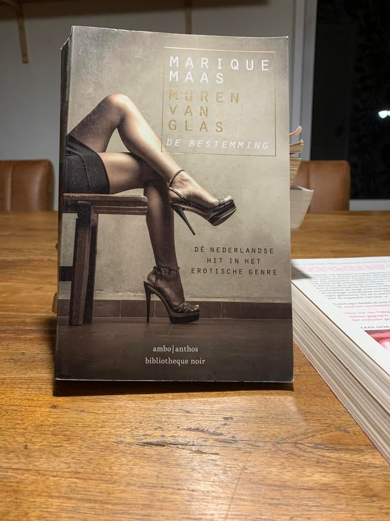 Muren van glas, Boeken, Ophalen of Verzenden, Zo goed als nieuw