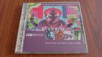Asian Underground - Rough Guide CD, Ophalen of Verzenden, Zo goed als nieuw, Aziatisch