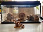 Dwerghamsterverijf, Dieren en Toebehoren, Knaagdieren en Konijnen | Hokken en Kooien, Gebruikt, Hok, Hamster, 75 tot 110 cm