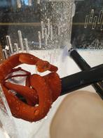 Corallus Hortulanus Tiger , full red avec double ligne tiger, Dieren en Toebehoren, Slang, 0 tot 2 jaar