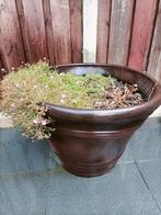 Bloempot -Breed is 83 cm hoog 60 cm.Prijs is 40 euro, Gebruikt, Rond, Ophalen of Verzenden, 60 tot 100 cm