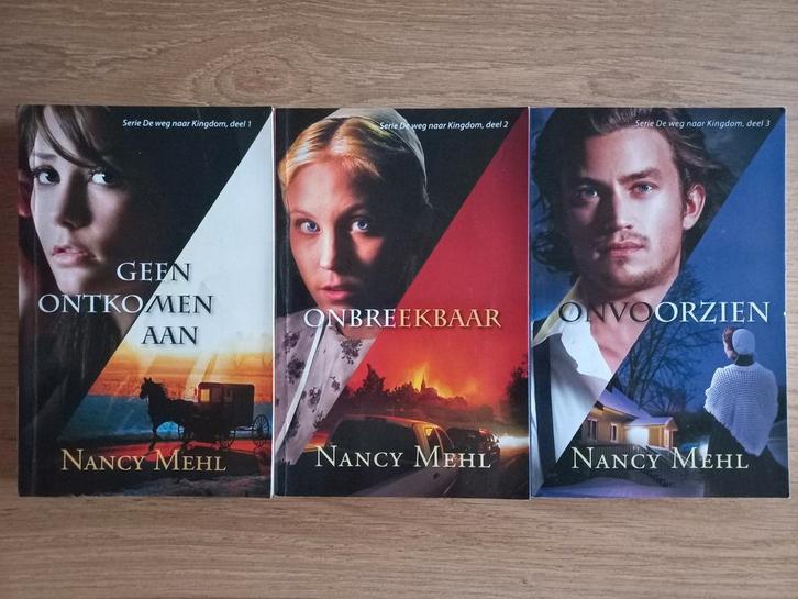 3-delige serie christelijke romans, Nancy Mehl, IZGS, €12,-, Boeken, Romans, Gelezen, Ophalen of Verzenden