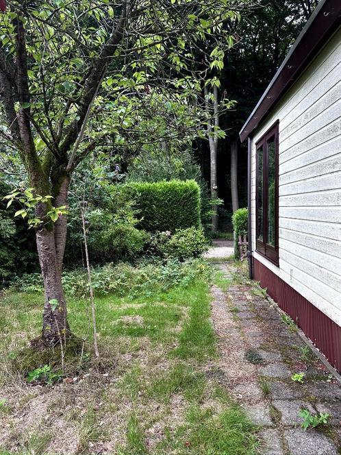 Fijn chalet op de Veluwe, direct aan het bos, te huur!, Vakantie, Vakantiehuizen | Nederland, Tuin