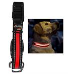 Safety Glo veiligheidshalsband met LED licht oplaadbaar L, Safety Glo, Nieuw, Ophalen of Verzenden, Info@dedierenoutlet.nl