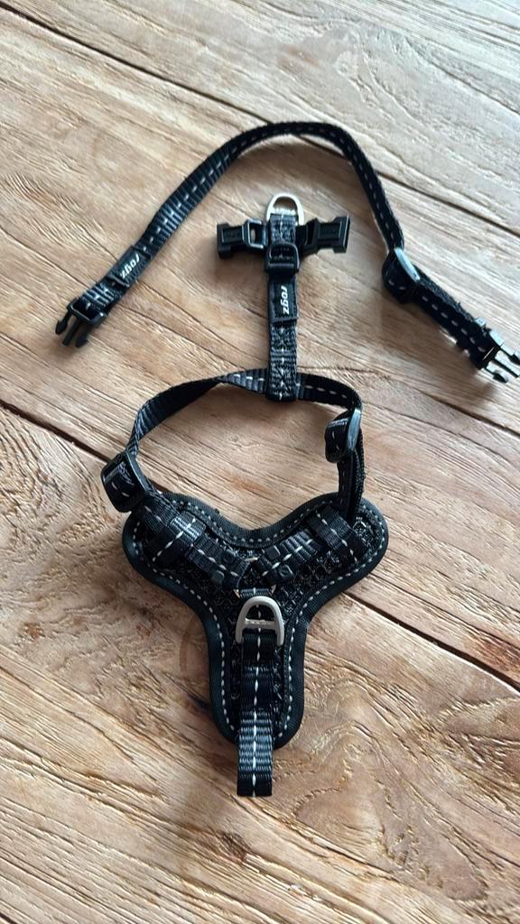 Rogz Halsband S (Nieuw), Dieren en Toebehoren, Hondenriemen, Nieuw, Ophalen