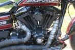 Harley-Davidson Dyna Switchback FLD, Motoren, 2 cilinders, 1690 cc, Chopper, Bedrijf