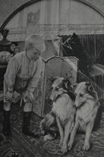 FRANKRIJK 1910 JONGEN 2 HONDEN SCHOTSE COLLIE, Verzenden, Voor 1920, Sterren en Beroemdheden