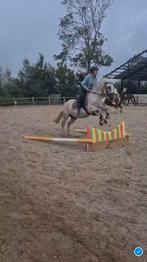 Bijrijdpaard /pony gezocht / bijrijder aangeboden, Dieren en Toebehoren, Paarden en Pony's | Overige Paardenspullen, Ophalen of Verzenden