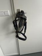 2 men hoofdstellen maat Shetlander en mini, Ophalen of Verzenden, Zo goed als nieuw, Overige soorten