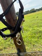 Kaptoom pony en Vliegen masker pony, Ophalen, Overige soorten