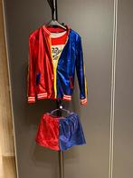 Harley Quinn Kostuum - Maat 110-116, Kinderen en Baby's, Carnavalskleding en Verkleedspullen, Ophalen, Gebruikt, 110 t/m 116, Meisje