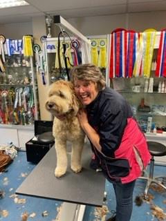 Professionele vakantie en dagopvang in huis, Uitlaatservice