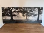 Canvas Bos met Frame, Ophalen of Verzenden