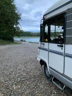 GEZOCHT - raam of deur Hymer - grijze beer, Ophalen