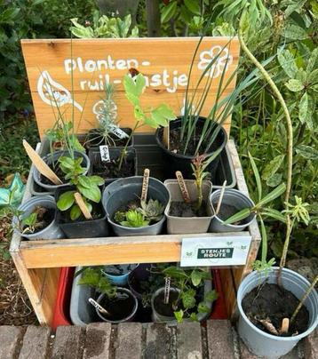 planten-ruil-kastje, planten ruilen🌸 beschikbaar voor biedingen