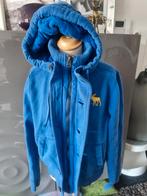 Abercrombie & Fitch jas met hoodie, mt L, uitmuntende staat., Ophalen of Verzenden