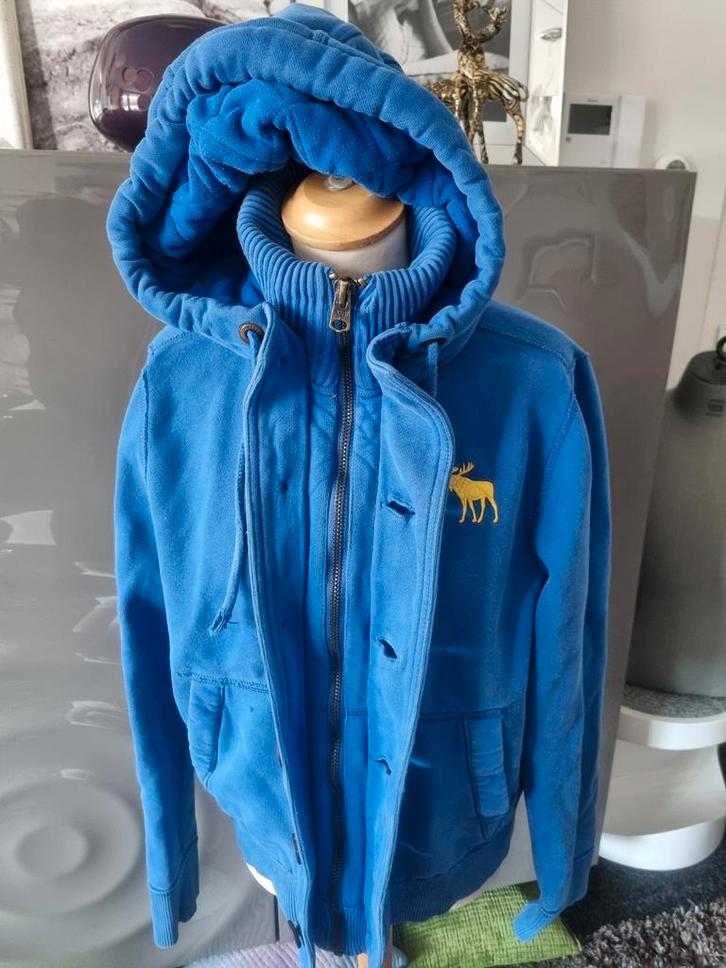 Abercrombie & Fitch jas met hoodie, mt L, uitmuntende staat., Kleding | Heren, Jassen | Winter, Ophalen of Verzenden