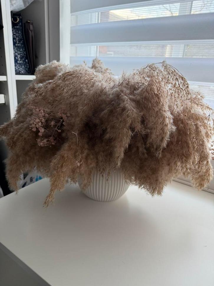 Mooi pampas boeket met roze gipskruid en witte vaas, Huis en Inrichting, Woonaccessoires | Kunstplanten en Kunstbloemen, Zo goed als nieuw