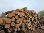 Boomstammen brandhout, es, eik, beuk, iep, esdoorn, els, 6 m³ of meer, Ophalen of Verzenden, Overige houtsoorten, Stammen