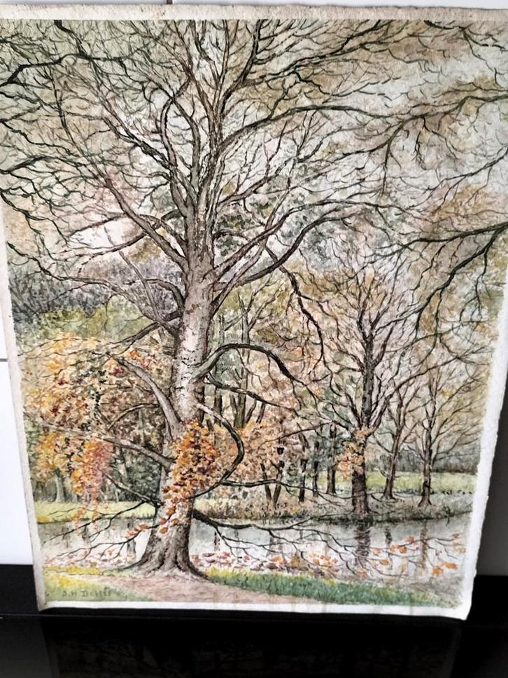 Aquarel Schilderij van Bomen aan het Water, Antiek en Kunst, Kunst | Schilderijen | Klassiek, Ophalen of Verzenden