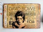 David Bowie Odeon Hammersmith 1973 bord 30 bij 20, Ophalen of Verzenden, Nieuw, Poster, Artwork of Schilderij
