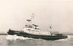 1165 Motorsleepboot Europa Nederlandse Stoomsleepdienst, Ophalen of Verzenden, Kaart, Foto of Prent