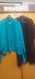 2 mooie vestjes turquoise en blauw. Van ms en cassani 52/54, Blauw, Trui of Vest, Ophalen of Verzenden, Zo goed als nieuw