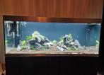 Oase Highline 600 set incl 2 biomasters en jbl verlichting, Dieren en Toebehoren, Vissen | Aquaria en Toebehoren, Ophalen, Zo goed als nieuw