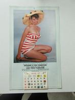 Vintage Pin - Up Jaren 70 kalender, Diversen, Ophalen of Verzenden, Maandkalender, Zo goed als nieuw